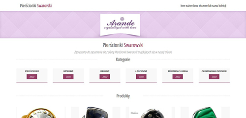 projekt strony internetowej dla firmy ARANDE.PL
