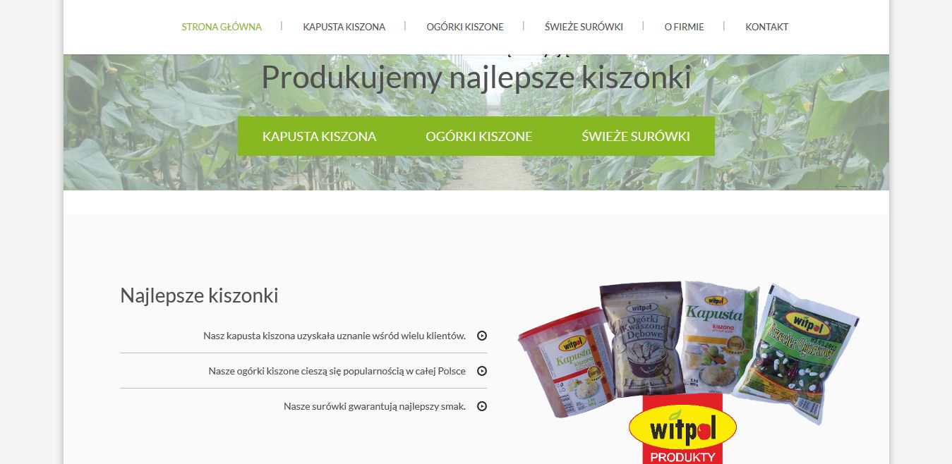 projekt strony internetowej dla firmy PPHU Witpol